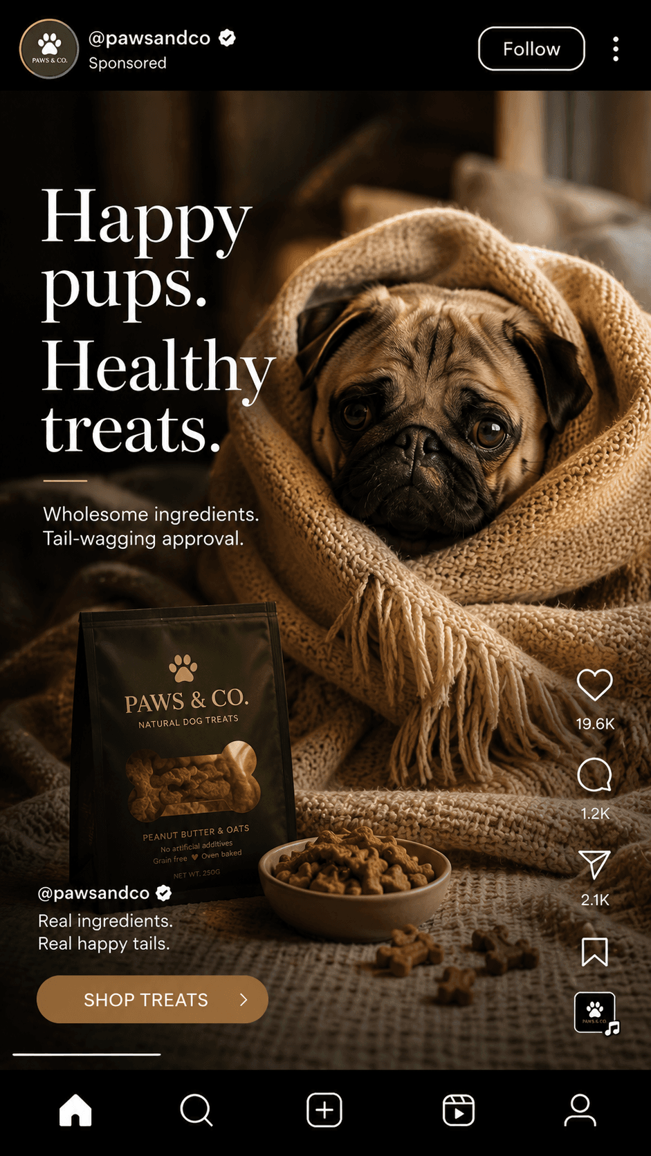 Pet reel ad
